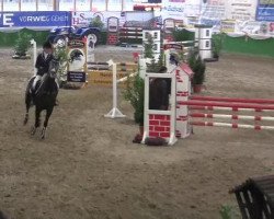 jumper Quality Girl 4 (Oldenburg, 2007, from Quality 9)