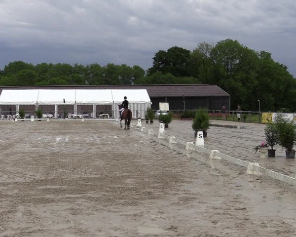 Reitturnier Nienberge-Schonebeck, Reitanlage Geßmann 2022
