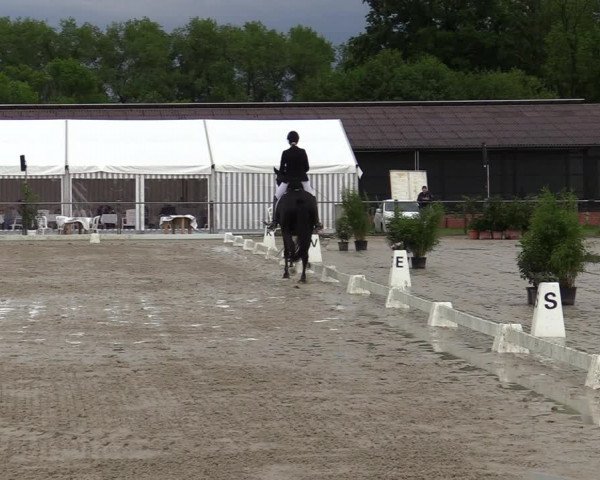 Reitturnier Nienberge-Schonebeck, Reitanlage Geßmann 2022