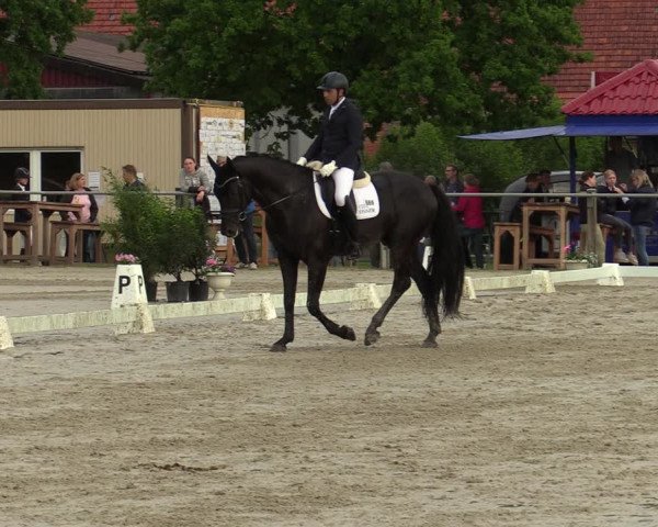 Reitturnier Nienberge-Schonebeck, Reitanlage Geßmann 2022
