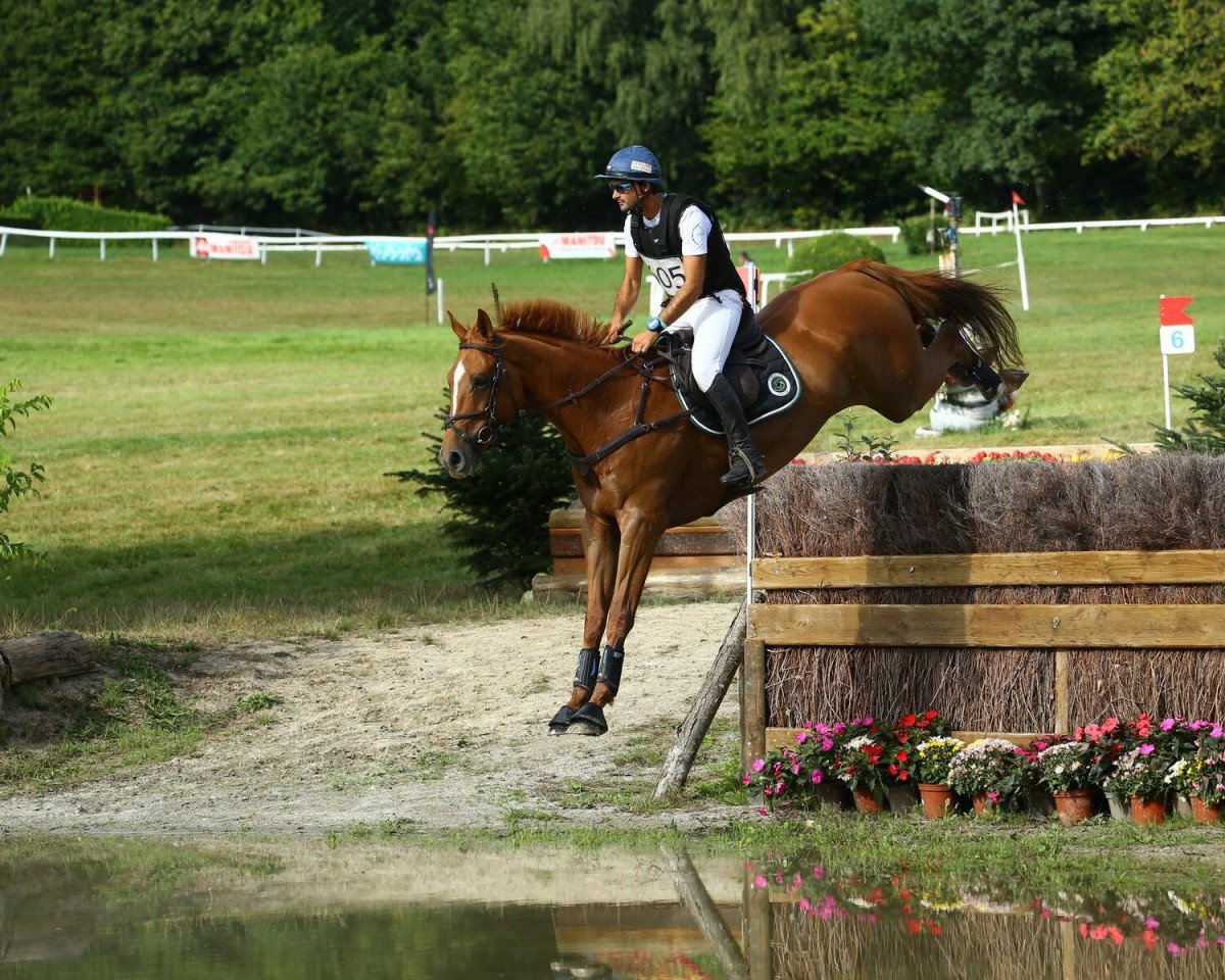horse Figaro Fonroy (Selle Français, 2015, from Huppydam des Horts)