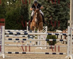 jumper Chilling Out (Oldenburg show jumper, 2013, from Chilensky Jra)