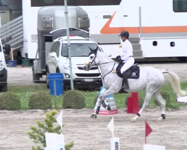 Reitturnier Basel Schänzli 2022