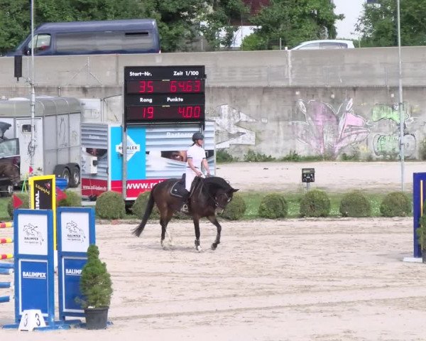 Reitturnier Basel Schänzli 2022