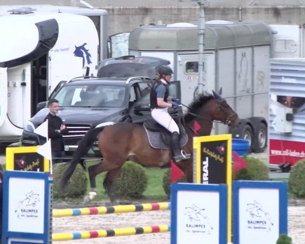 Reitturnier Basel Schänzli 2022