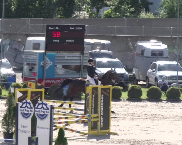 Reitturnier Basel Schänzli 2022