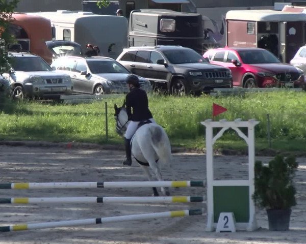 Reitturnier Basel Schänzli 2022