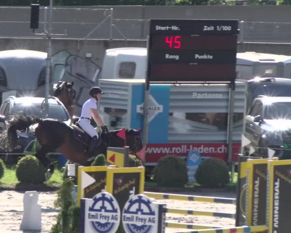 Reitturnier Basel Schänzli 2022
