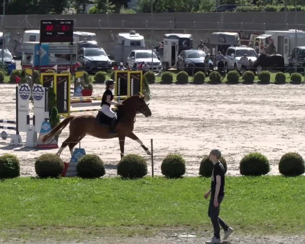 Equestrian Show Basel Schänzli 2022