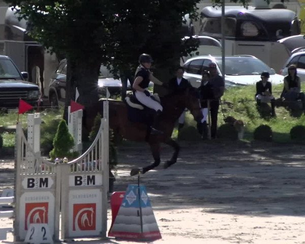 Reitturnier Basel Schänzli 2022