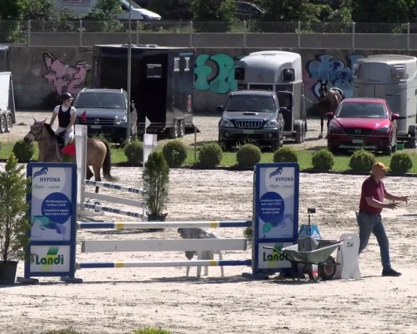 Reitturnier Basel Schänzli 2022