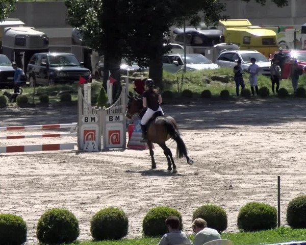 Reitturnier Basel Schänzli 2022
