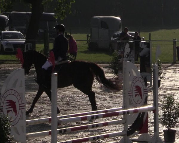 Reitturnier Nienberge-Schonebeck, Reitanlage Geßmann 2022