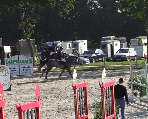 Reitturnier Nienberge-Schonebeck, Reitanlage Geßmann 2022