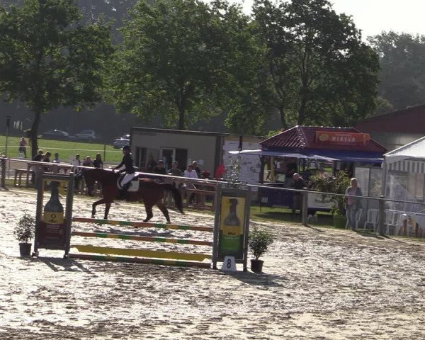Reitturnier Nienberge-Schonebeck, Reitanlage Geßmann 2022