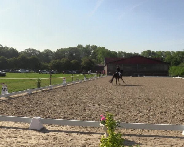 Reitturnier Nienberge-Schonebeck, Reitanlage Geßmann 2022