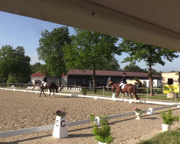Reitturnier Nienberge-Schonebeck, Reitanlage Geßmann 2022