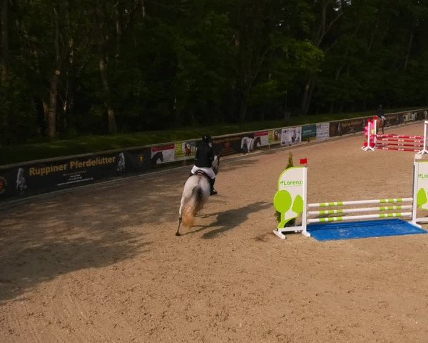 Reitturnier Ruhlsdorf 2022