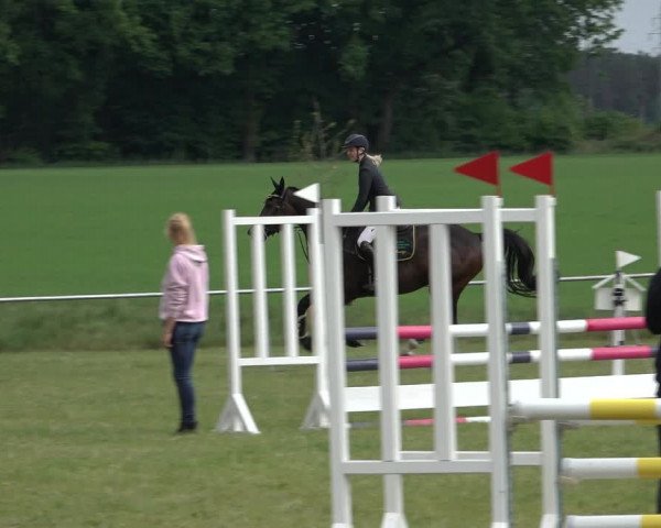 Reitturnier Alvern 2022
