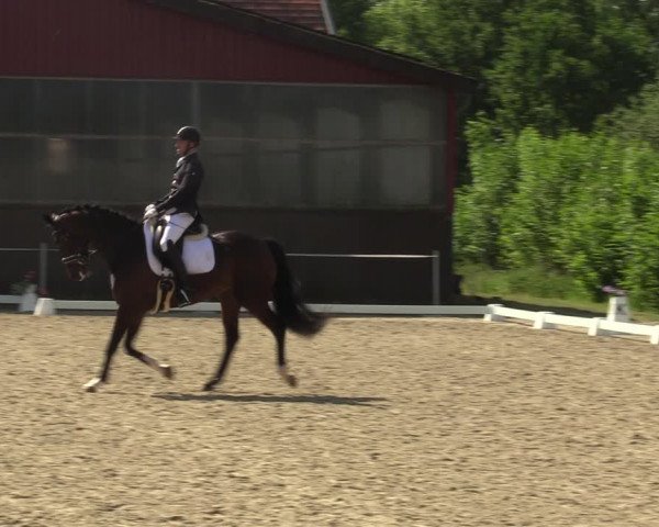 Reitturnier Nienberge-Schonebeck, Reitanlage Geßmann 2022