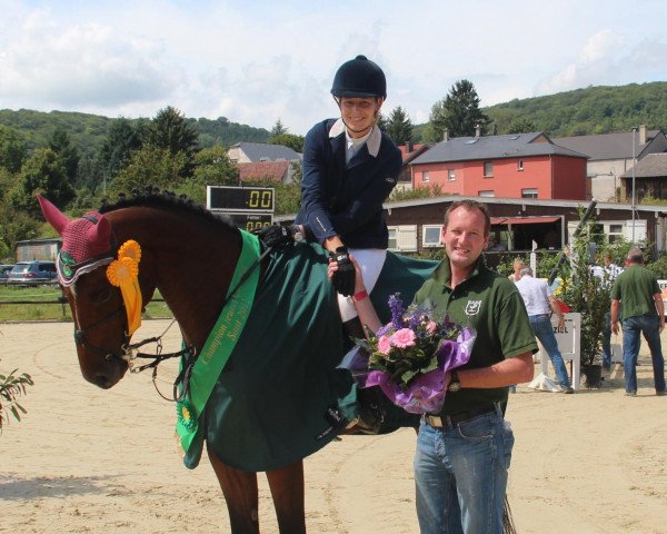 Springpferd Con Finley (Luxemburgisches Reitpferd, 2008, von Con Sherry)