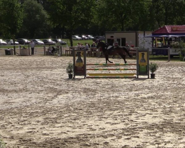 Reitturnier Nienberge-Schonebeck, Reitanlage Geßmann 2022