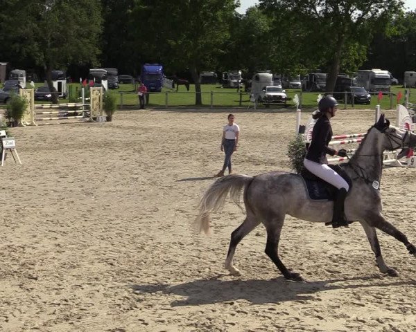 Reitturnier Nienberge-Schonebeck, Reitanlage Geßmann 2022
