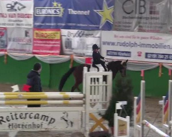 dressage horse Diablo El Listo (German Riding Pony, 1995, from Dragoner)