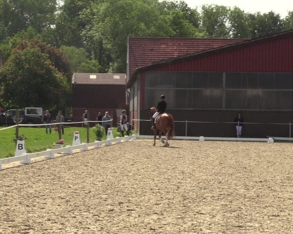 Reitturnier Nienberge-Schonebeck, Reitanlage Geßmann 2022