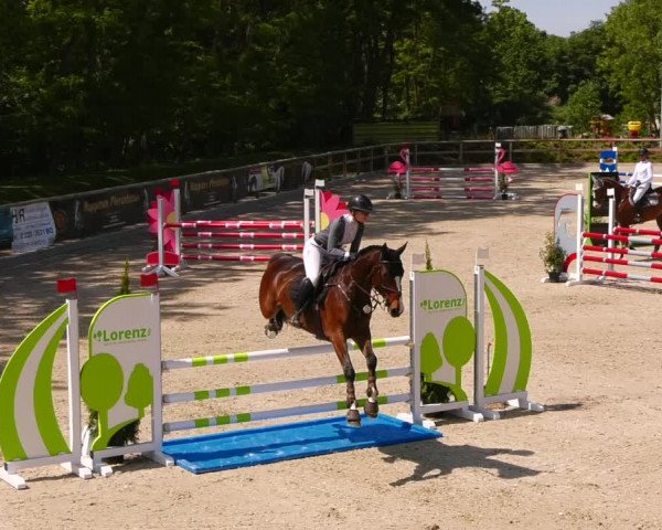 Reitturnier Ruhlsdorf 2022