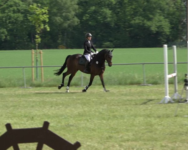 Reitturnier Alvern 2022