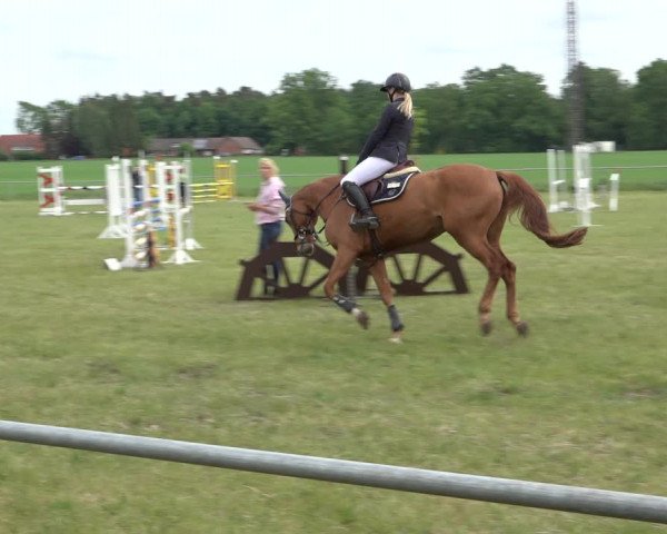 Reitturnier Alvern 2022