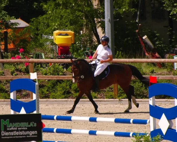 Reitturnier Ruhlsdorf 2022