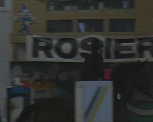 jumper Lenya 9 (Oldenburg show jumper, 2005, from Larome)