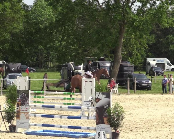 Reitturnier Nienberge-Schonebeck, Reitanlage Geßmann 2022