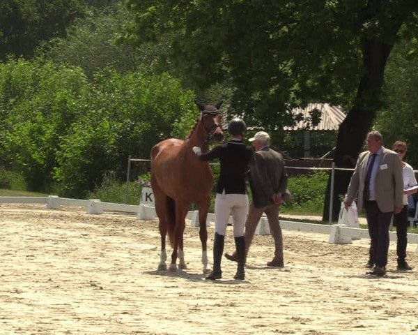 Reitturnier Nienberge-Schonebeck, Reitanlage Geßmann 2022