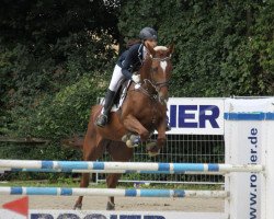 jumper Lucy Lou 10 (Westphalian, 2004, from Lord Lancer)