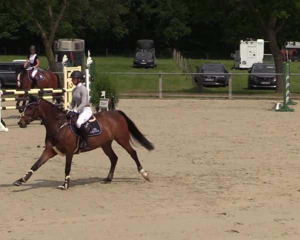 Reitturnier Nienberge-Schonebeck, Reitanlage Geßmann 2022