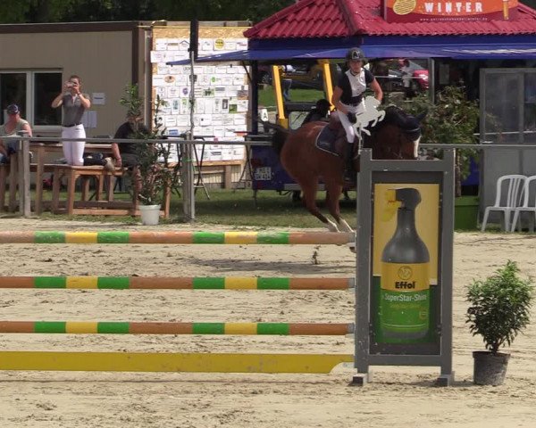 Reitturnier Nienberge-Schonebeck, Reitanlage Geßmann 2022
