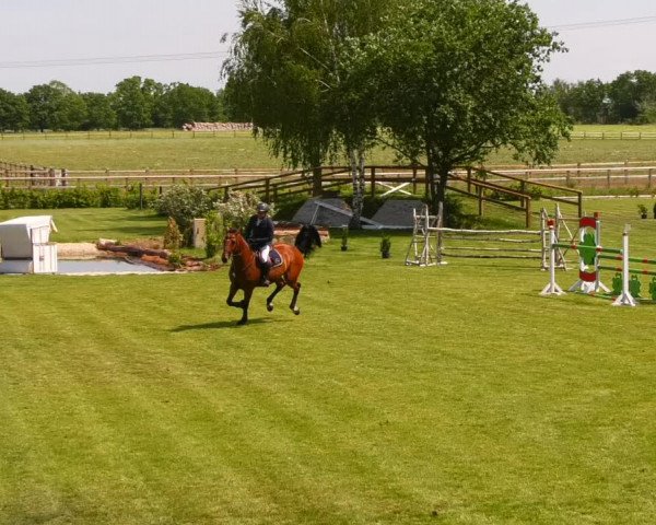 Reitturnier Ruhlsdorf 2022
