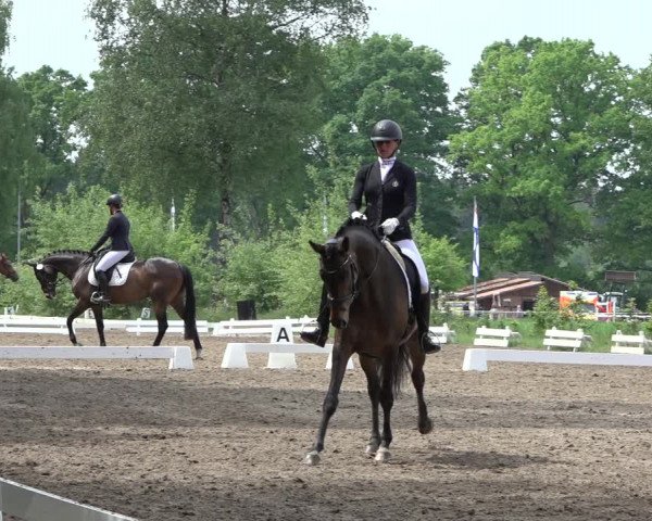 Reitturnier Alvern 2022