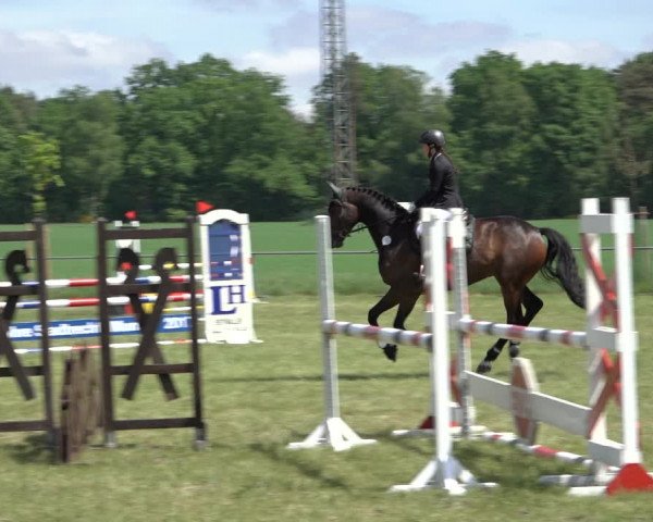 Reitturnier Alvern 2022