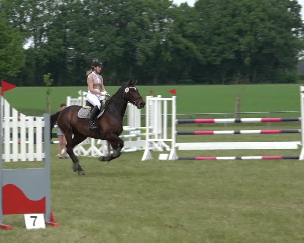 Reitturnier Alvern 2022