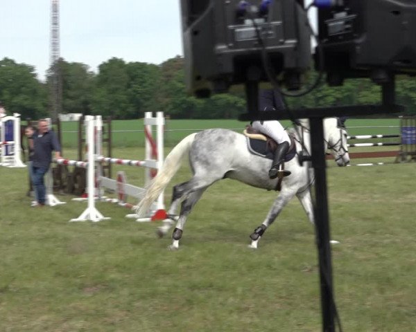 Reitturnier Alvern 2022