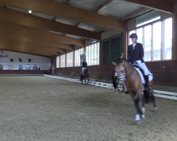 Reitturnier Coesfeld/Lette 2022