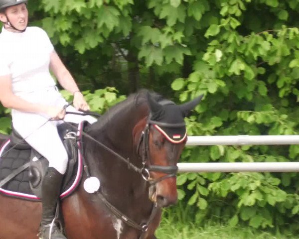 Reitturnier Winnenden 2022