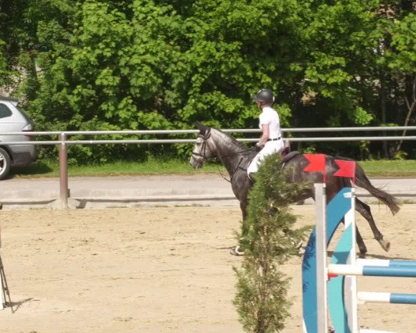 Reitturnier Winnenden 2022