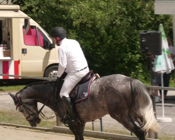 Reitturnier Winnenden 2022