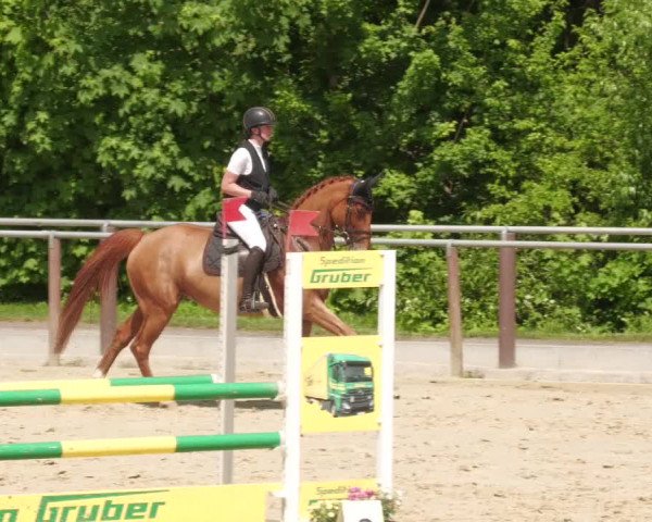 Reitturnier Winnenden 2022