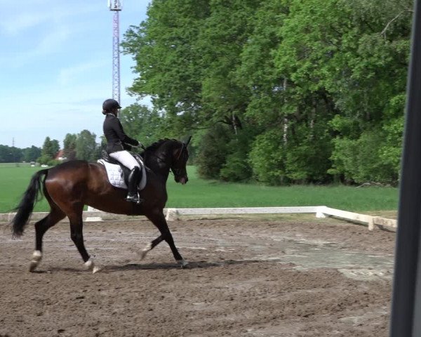 Reitturnier Alvern 2022